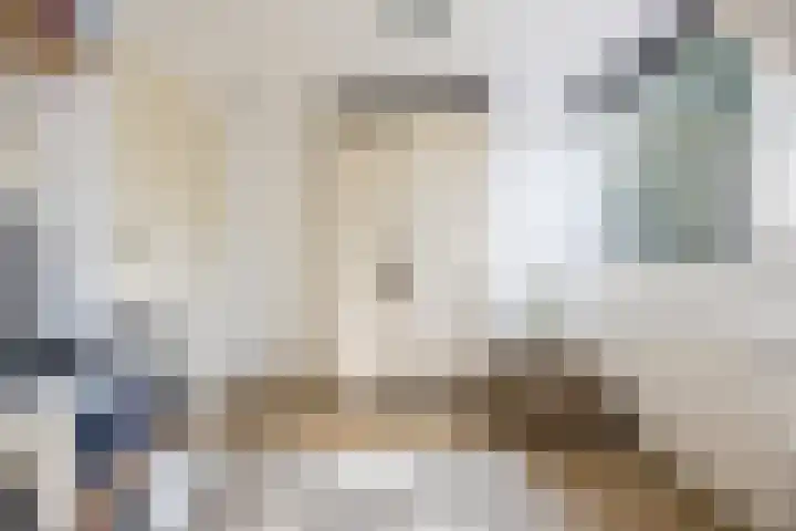Kannewielseweg 14 c Halsteren thumbnail 37