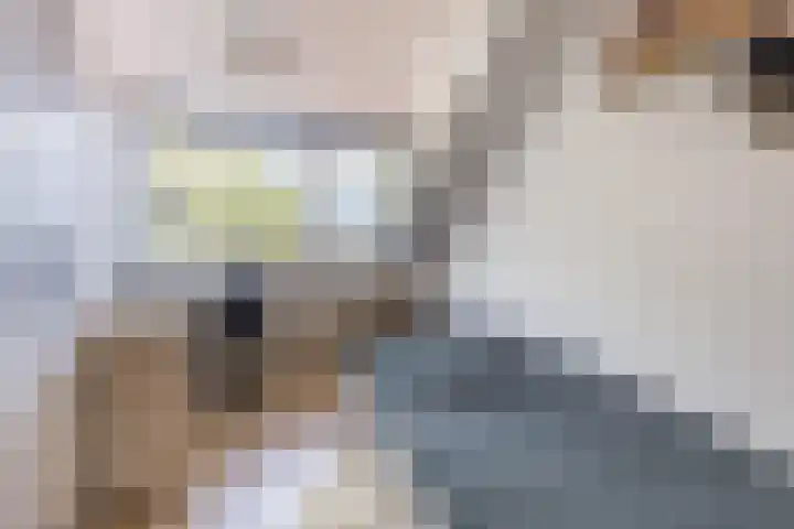 Kannewielseweg 14 c Halsteren thumbnail 38
