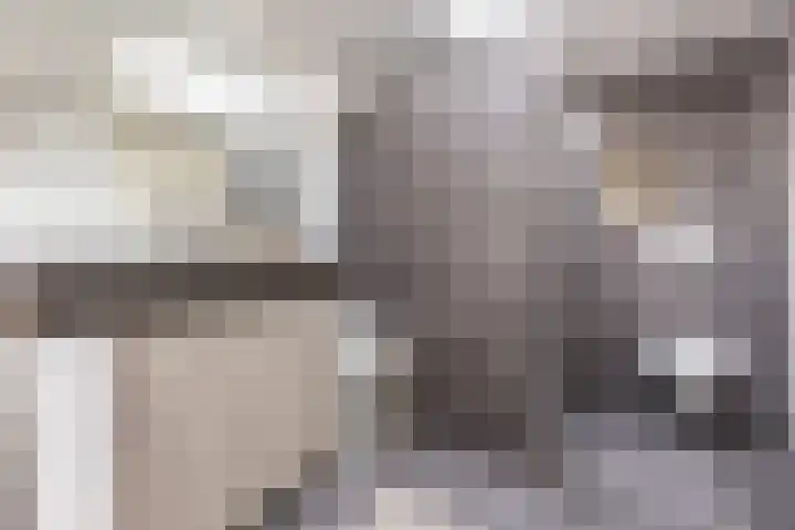Kannewielseweg 14 c Halsteren thumbnail 4