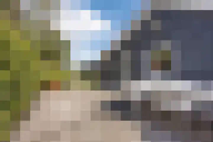 Kannewielseweg 14 c Halsteren thumbnail 42