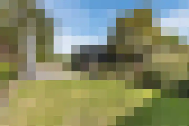 Kannewielseweg 14 c Halsteren thumbnail 44