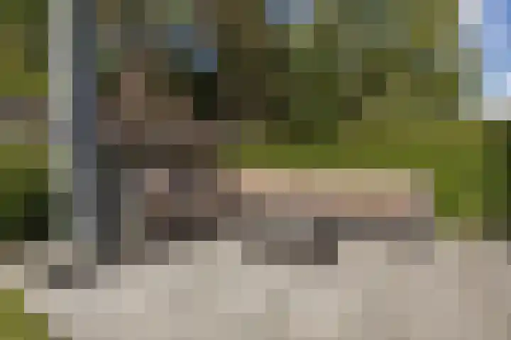 Kannewielseweg 14 c Halsteren thumbnail 45