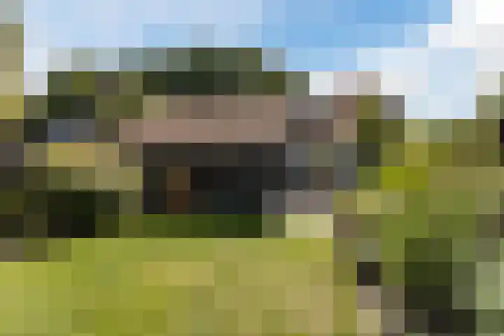 Kannewielseweg 14 c Halsteren thumbnail 47