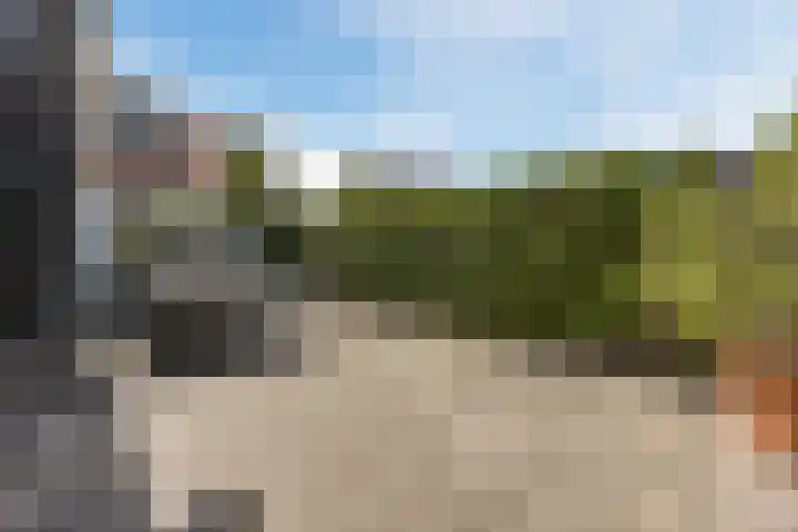 Kannewielseweg 14 c Halsteren thumbnail 48