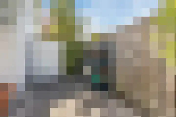 Kannewielseweg 14 c Halsteren thumbnail 50