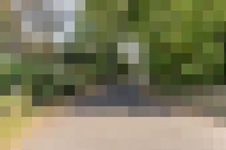 Kannewielseweg 14 c Halsteren thumbnail 51