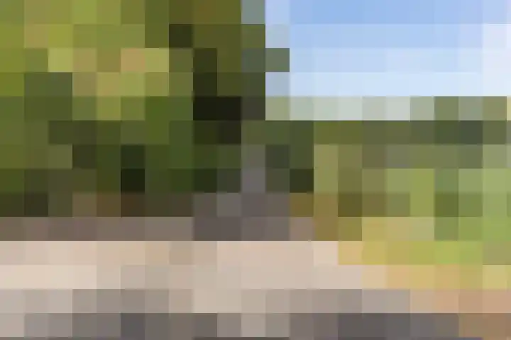 Kannewielseweg 14 c Halsteren thumbnail 52