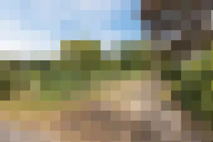 Kannewielseweg 14 c Halsteren thumbnail 53