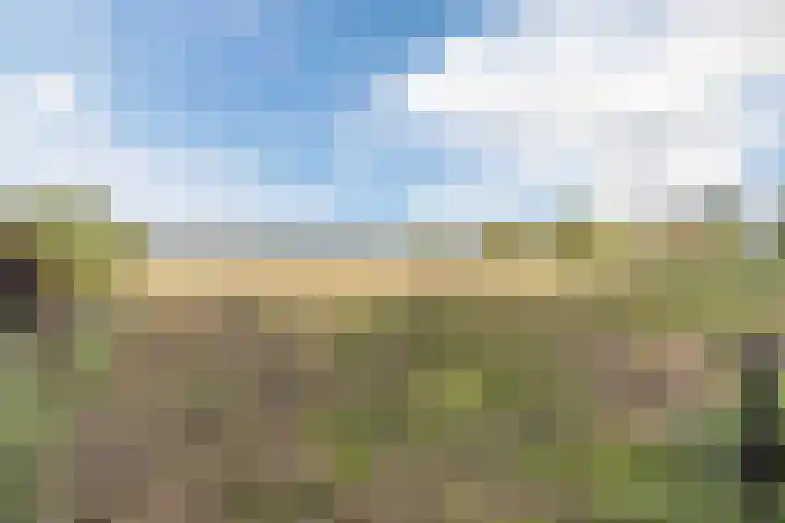 Kannewielseweg 14 c Halsteren thumbnail 55