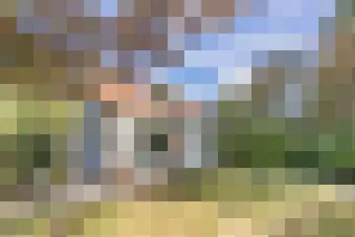 Kannewielseweg 14 c Halsteren thumbnail 6