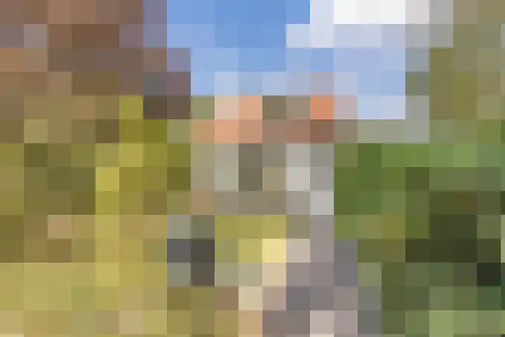 Kannewielseweg 14 c Halsteren thumbnail 7