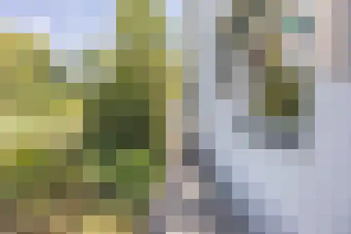 Kannewielseweg 14 c Halsteren thumbnail 8
