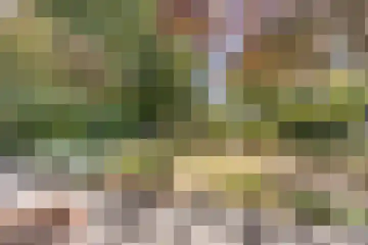 Kannewielseweg 14 c Halsteren thumbnail 9