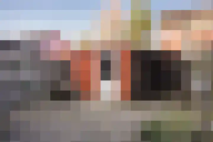Kanon 42 Zutphen thumbnail 21