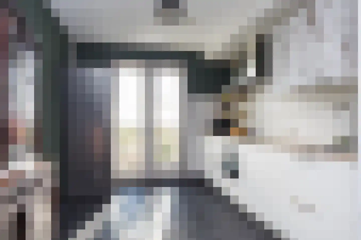 Kanon 42 Zutphen thumbnail 8