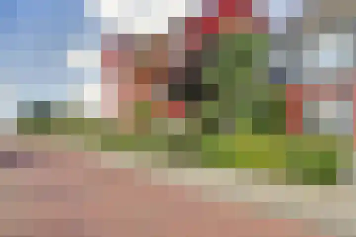 Kanon 62 Zutphen thumbnail 30