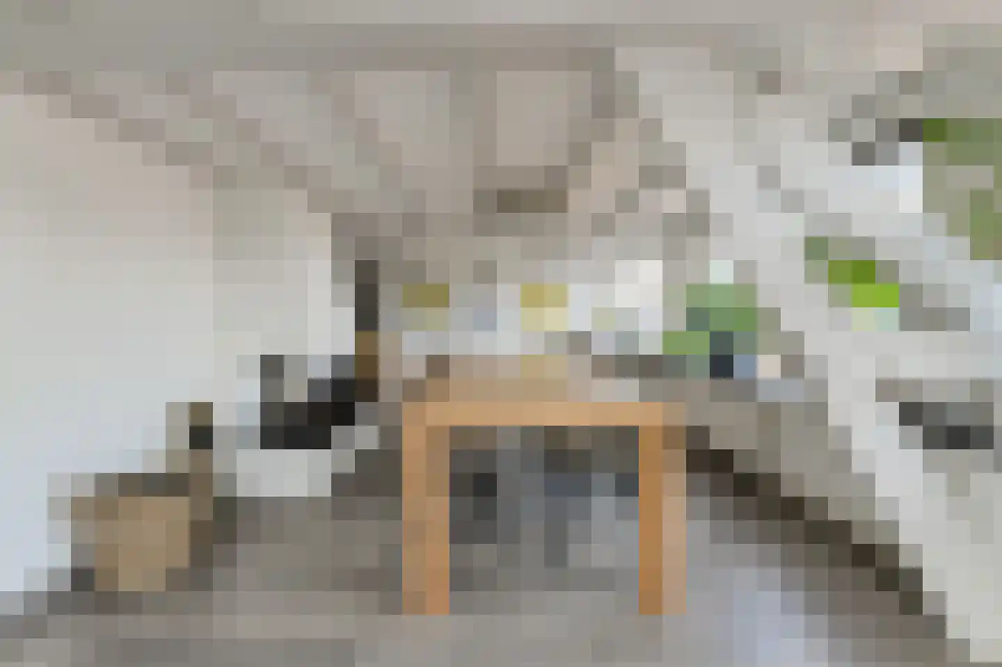 Kanonnierstraat 10 A Oosterhout thumbnail 10
