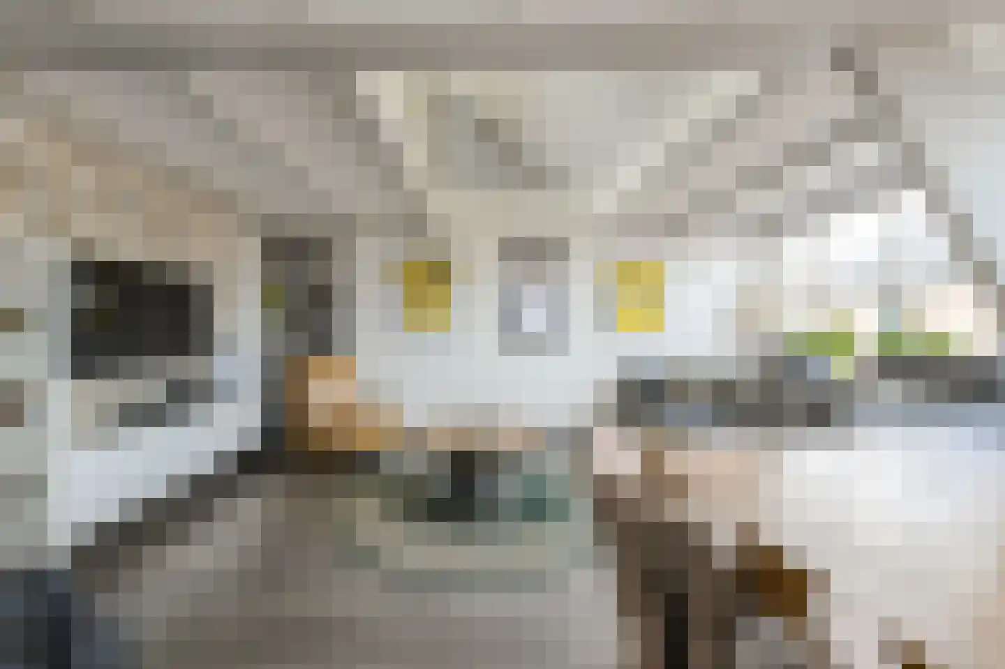 Kanonnierstraat 10 A Oosterhout thumbnail 11