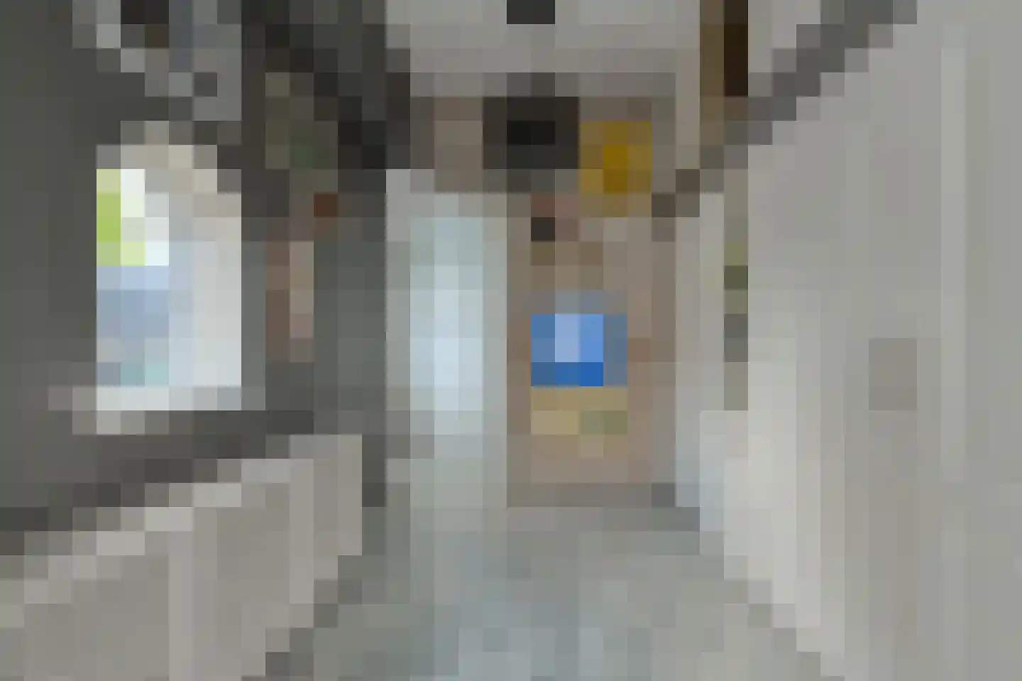 Kanonnierstraat 10 A Oosterhout thumbnail 6