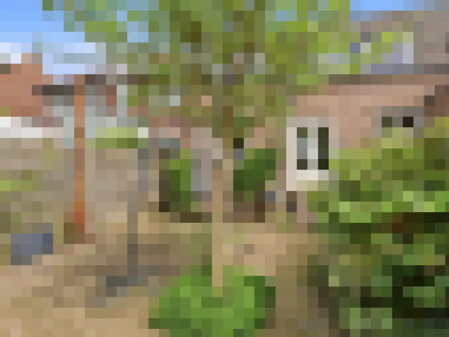 Kanonsdijk 114 Zutphen thumbnail 34