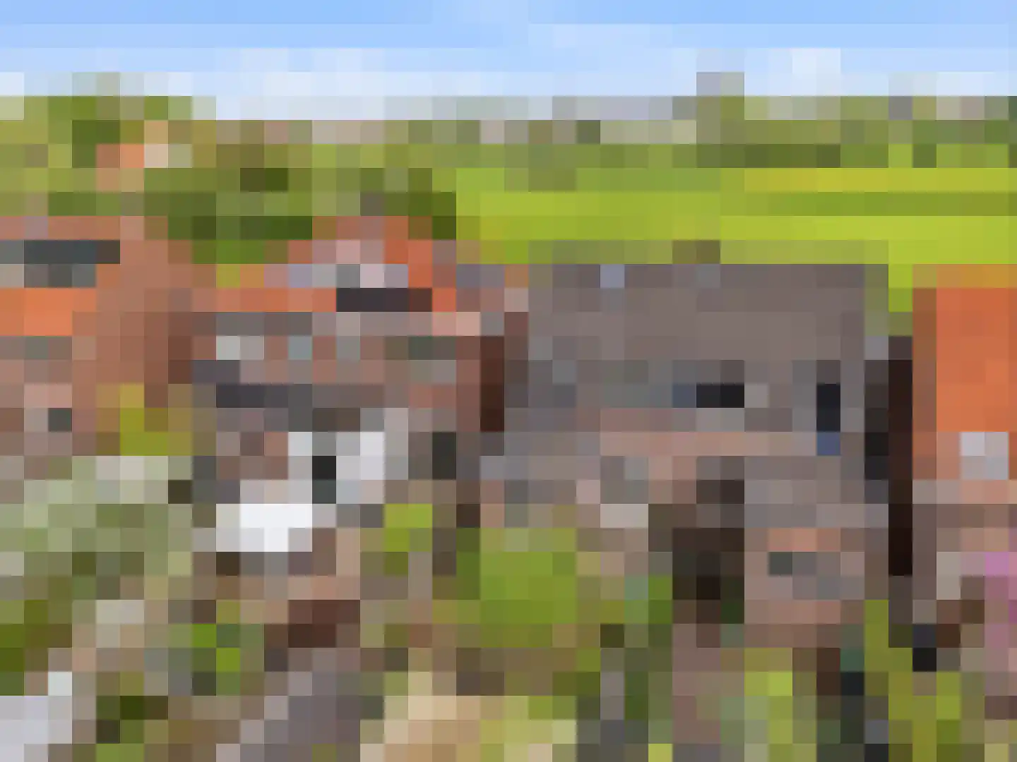 Kanonsdijk 114 Zutphen thumbnail 39