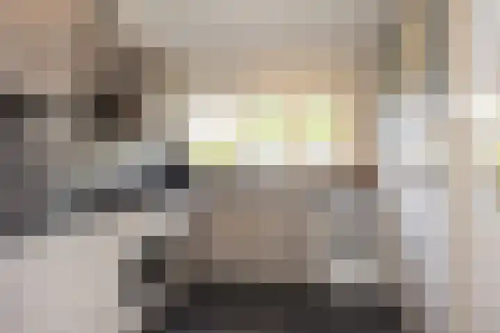 Kanonsdijk 116 Zutphen thumbnail 8