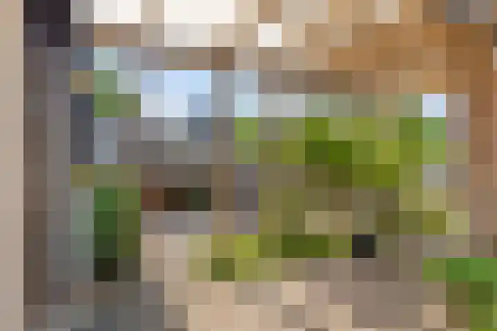 Kanonskamp 39 Milsbeek thumbnail 14