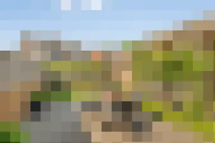 Kanonskamp 39 Milsbeek thumbnail 15