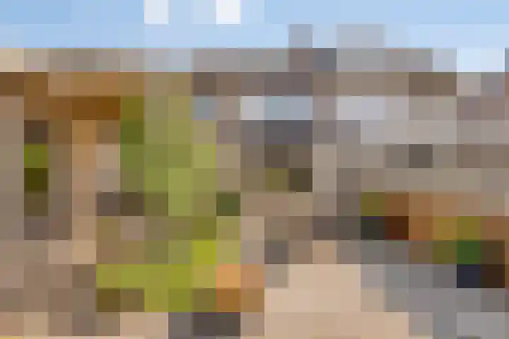 Kanonskamp 39 Milsbeek thumbnail 16