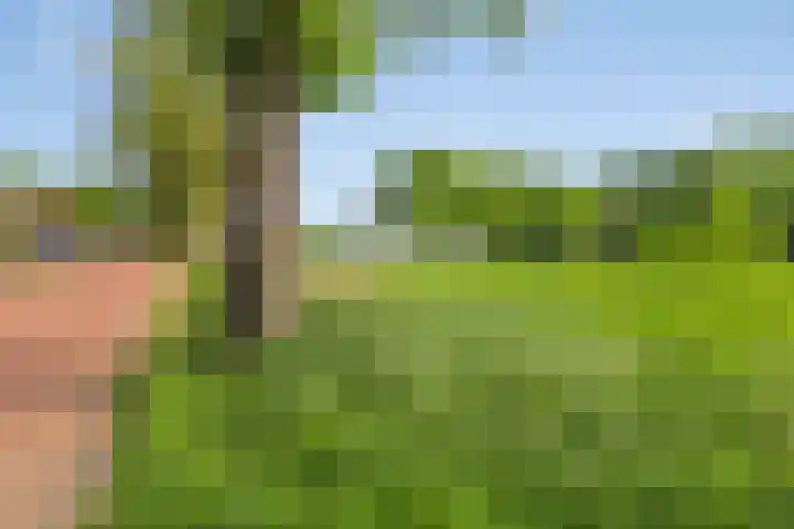 Kanonskamp 39 Milsbeek thumbnail 28
