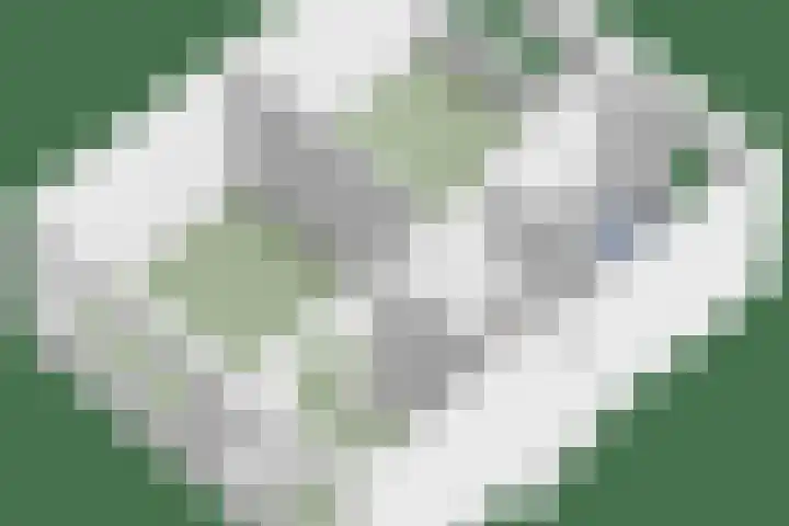 Kanonskamp 39 Milsbeek thumbnail 33