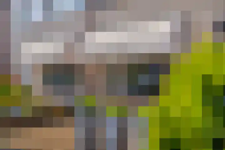 Kanonskamp 39 Milsbeek thumbnail 6