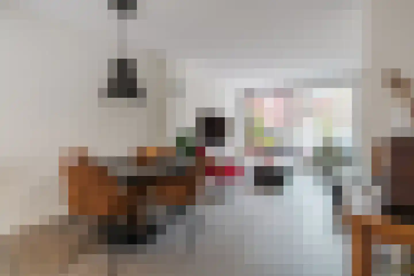 Kanonsteeg 3 Zwolle thumbnail 10