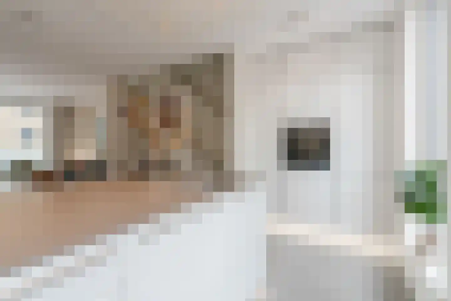 Kanonsteeg 3 Zwolle thumbnail 13