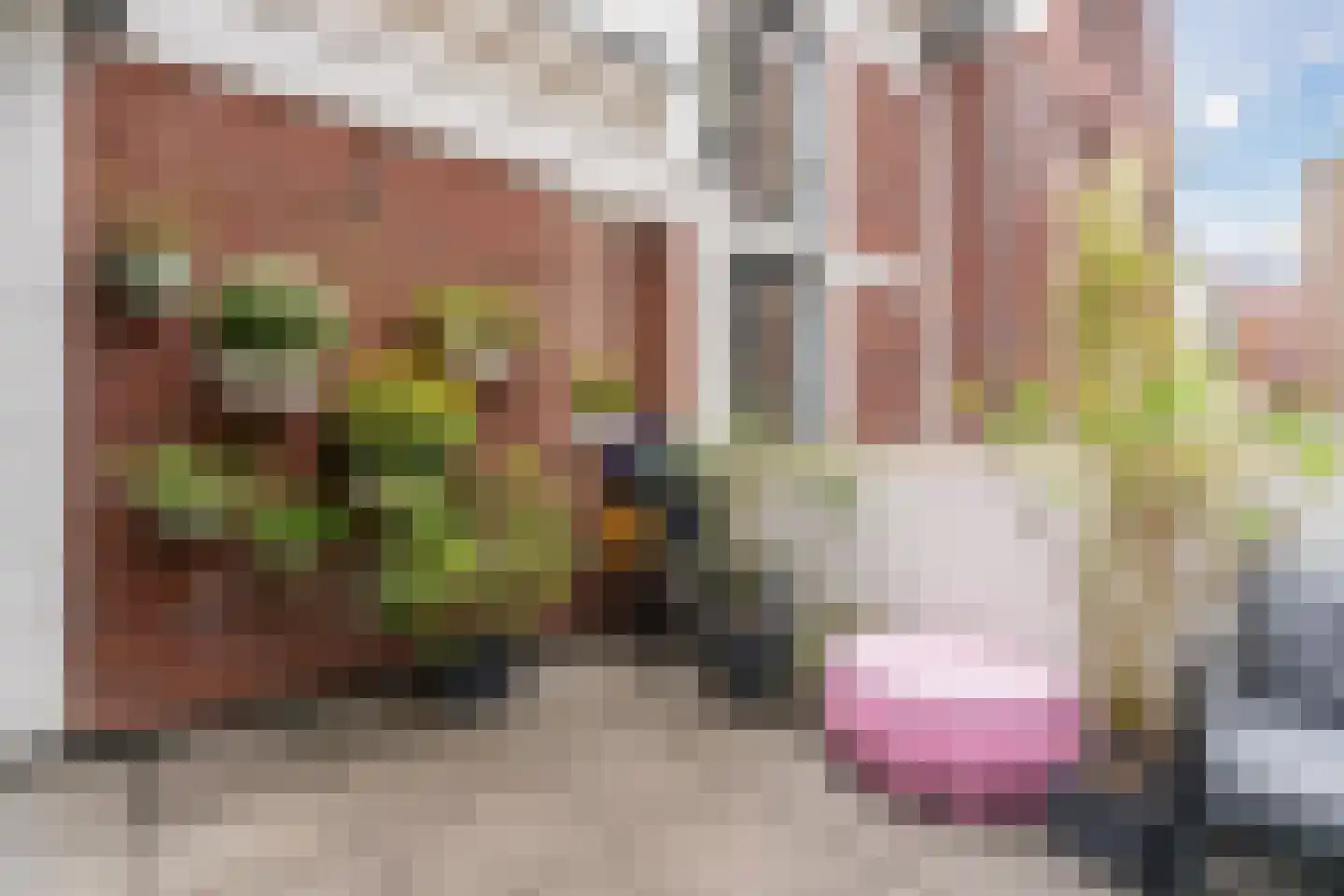 Kanonsteeg 3 Zwolle thumbnail 17