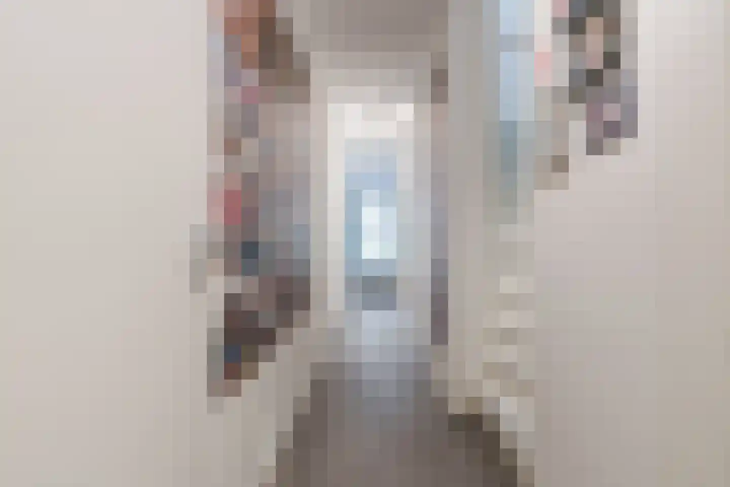 Kanonsteeg 3 Zwolle thumbnail 20