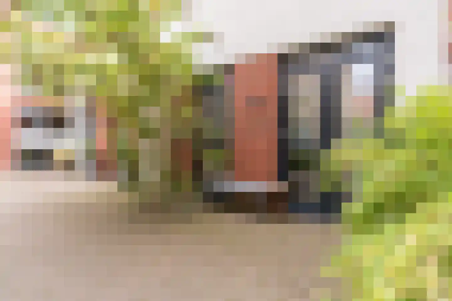 Kanonsteeg 3 Zwolle thumbnail 24