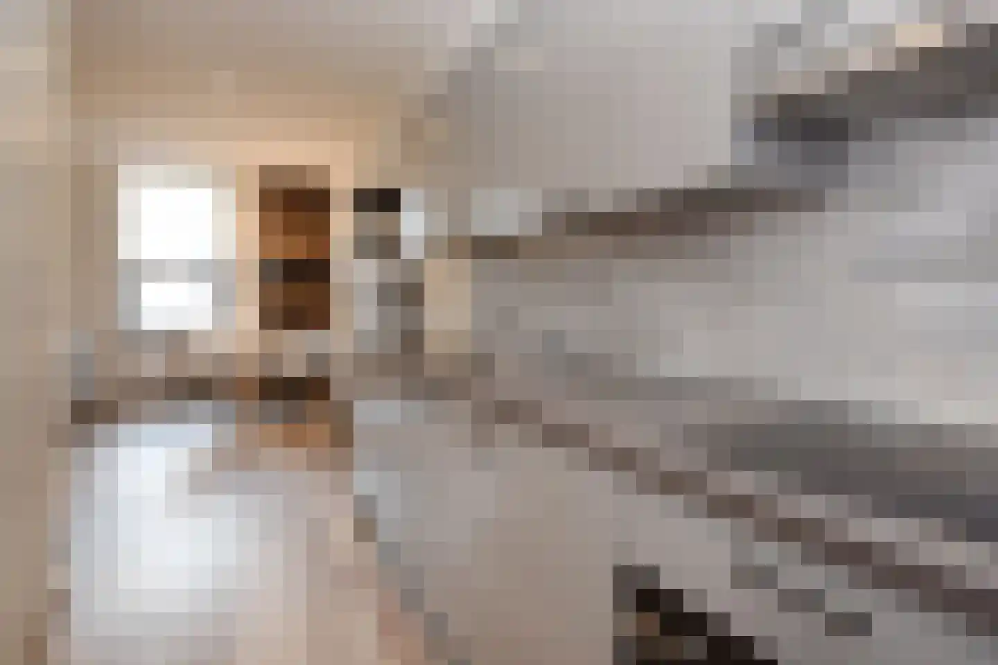 Kanonstraat 44 Den Haag thumbnail 4