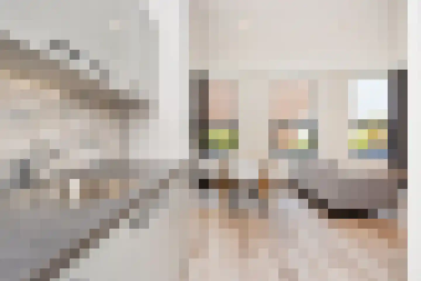 Kanonstraat 8 Den Haag thumbnail 11
