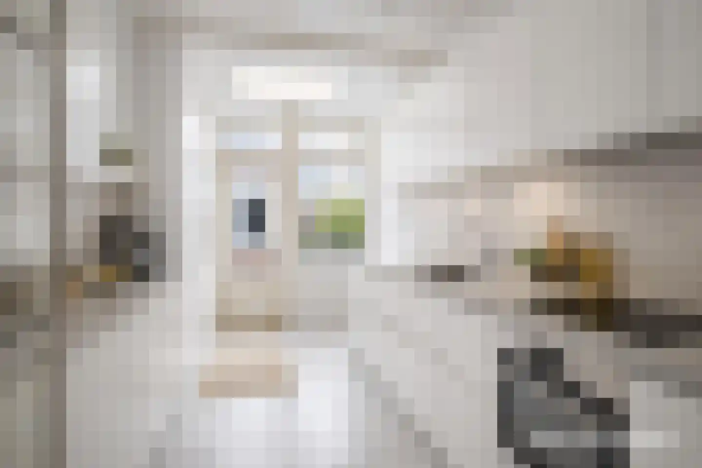 Kanonweistraat 15 Domburg thumbnail 5