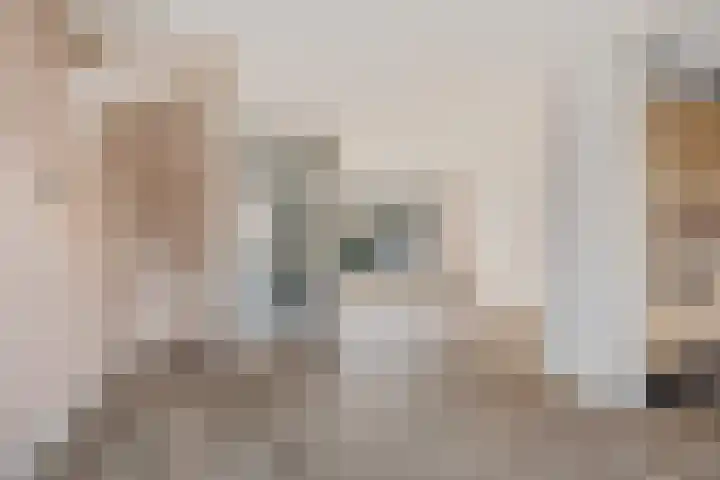 Kanostraat 115 Den Helder thumbnail 5