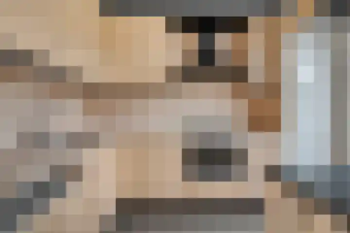 Kanostraat 115 Den Helder thumbnail 8