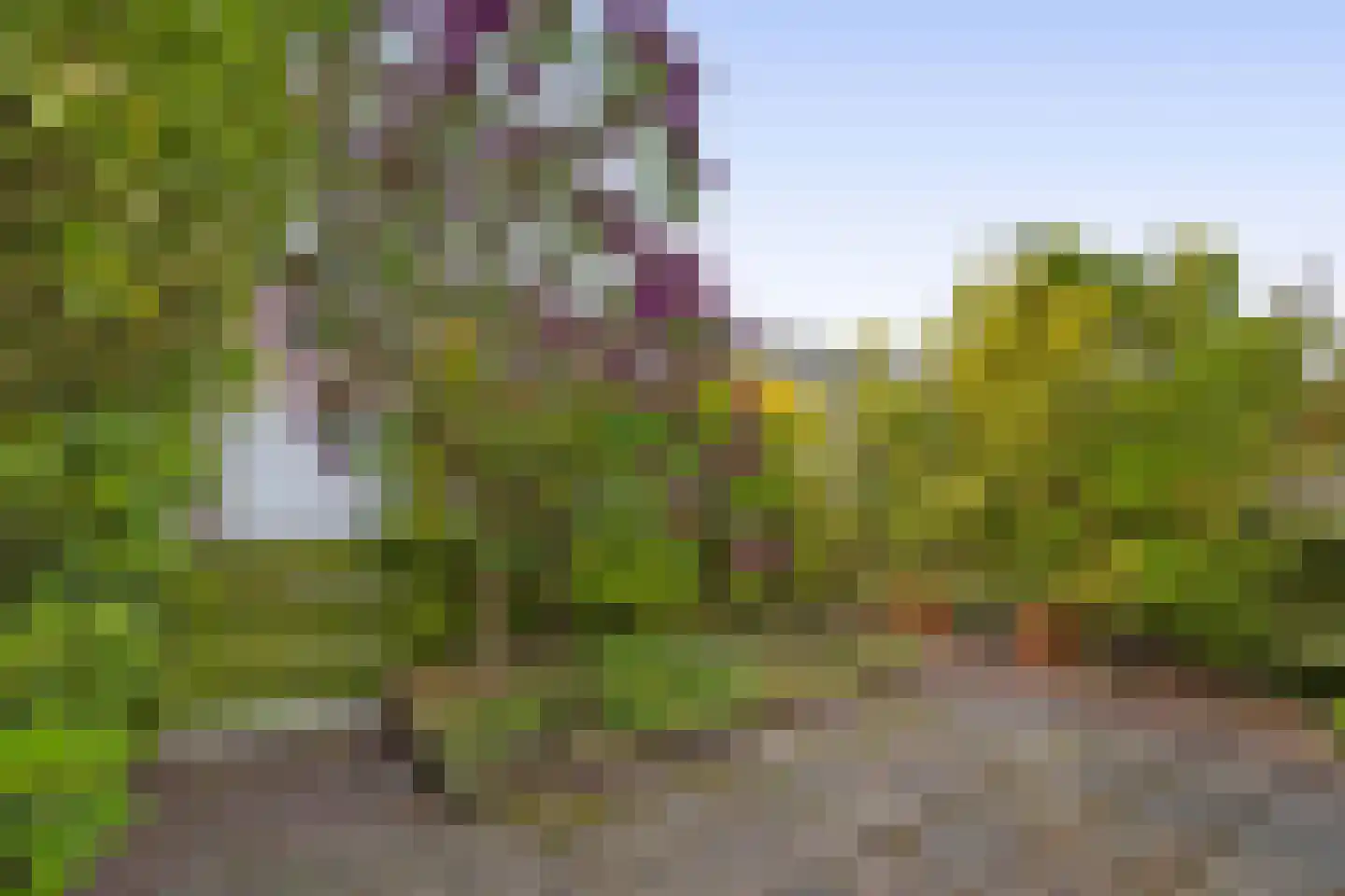Kanostraat 20 Den Helder thumbnail 14