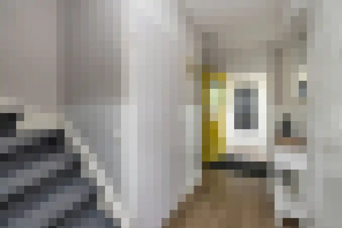 Kanostraat 29 Den Helder thumbnail 5