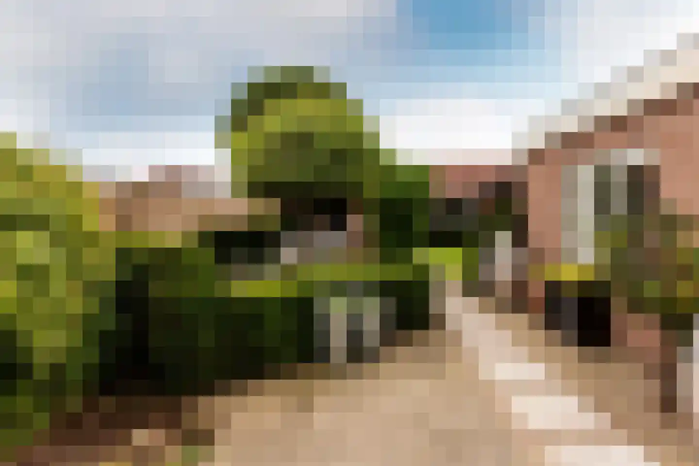 Kanoweg 117 Ermelo thumbnail 48