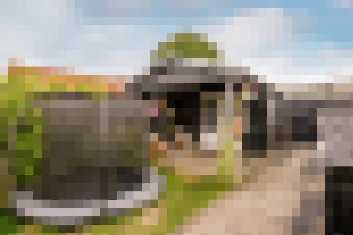 Kanoweg 119 Ermelo thumbnail 32