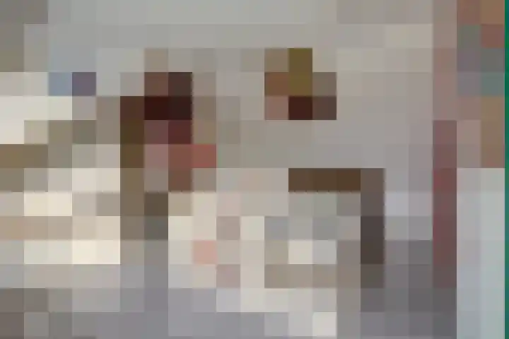 Kanoweg 59 Ermelo thumbnail 28