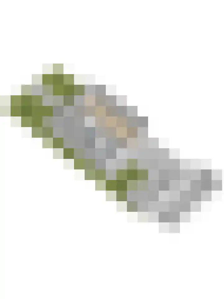 Kanoweg 69 Ermelo thumbnail 64