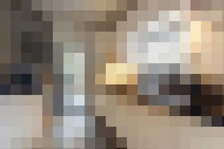 Kanoweg 69 Ermelo thumbnail 8