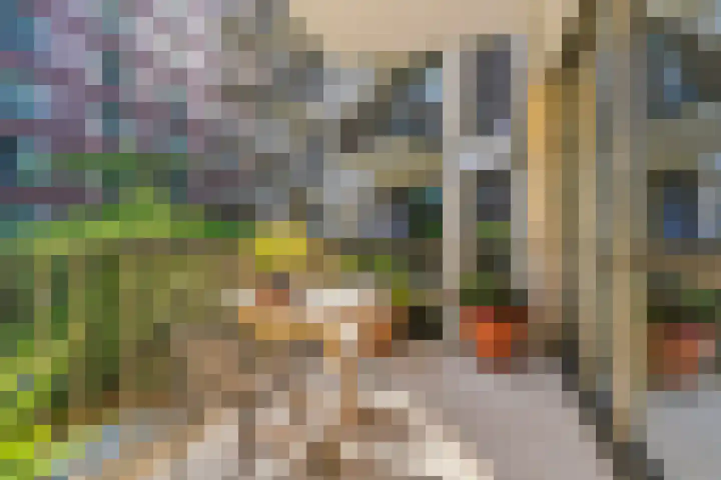 Kanseliersplein 162 's-Hertogenbosch thumbnail 40